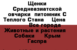 Щенки Среднеазиатской овчарки (питомник С Теплого Стана) › Цена ­ 20 000 - Все города Животные и растения » Собаки   . Крым,Гаспра